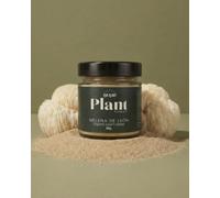 PUR PLANT Melena de León ECO en Polvo 50g - Nootrópico Natural100% - Cuerpo Fructífero - Alto en Proteínas y Fibra - Hericium erinaceus - Sin Aditivos - Vegano - 25-50 Dosis