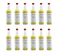Pure Ginger Jengibre ecológico peruano sin azúcar ni aditivos artificiales (12 x 500 ml)