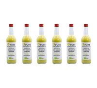 Pure Ginger Jengibre ecológico peruano sin azúcar ni aditivos artificiales (6 x 500 ml).