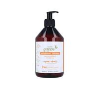Pure Green Antioxidant Champú 500 ml