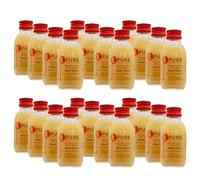Pure Shot - Jengibre de manzana orgánico, vegano, sin azúcar, sin aditivos, 100% orgánico (DE-ÖKO-005), 24 x 100 ml