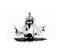 Purearts- dc heroes: batman (black and white) merchadising, multicolor