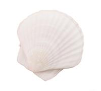 PureBowlic 36 conchas de vieira blancas naturales de 2 a 3 pulgadas, para manualidades, decoración de bodas en la playa, centros de mesa de fiesta, fabricación de joyas, proyectos de pintura y