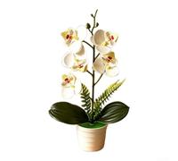 PureBowlic Orquídea artificial Phalaenopsis en maceta ondulada, planta falsa de 30 cm con 5 flores realistas para decoración de bodas, exhibición de oficina en casa y accesorios de fotografía (blanco)