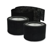 PUREBURG Pack de 2 filtros HEPA de repuesto con 4 prefiltros de carbono compatibles con purificador de aire Soehnle Airfresh Clean 300