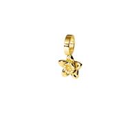 Purelei® Birth Flower Charms - Colgante de mes de nacimiento - símbolo de fidelidad y sabiduría - acero inoxidable chapado en oro - para collares y pulseras, Dezember, Acero inoxidable