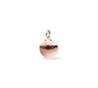 Purelei Colgante de concha marítima de acero inoxidable para mujer, colgante de concha marítima para collares y pulseras, accesorio de verano para vacaciones, 34 mm x 36 mm x 8,9 mm, Acero inoxidable