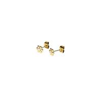 Purelei Flower Studs - Pendientes resistentes al agua | Pendientes en forma de flor con brillantes circonitas | acero inoxidable y chapado en oro de 14 K/18 K | símbolo de ligereza y alegría de vivir