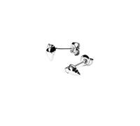 Purelei® Oceanside - Pendientes pequeños de acero inoxidable con forma de concha en oro, plata u oro rosa - Joyería minimalista para mujer con vibraciones marítimas Aloha - 4 x 6,8 mm, 0,8 g, Normal