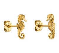 PURELEI Seahorse - Pendientes de acero inoxidable para mujer, diseño de caballito de mar (oro, plata, oro rosa), ca. 12,2 mm x 5,3 mm, Acero inoxidable, Sin piedra preciosa