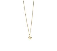Purelei Star Collar, impermeable y ajustable, colgante de estrella brillante con circonitas, acero inoxidable y bañado en oro de 14 K/18 K, símbolo de conexión, unidad y tu brillo interior, Eine
