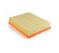 Filtros y aceite > Filtro > Filtro de aire (de coche)