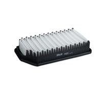 PURFLUX A1572 Filtro de aire