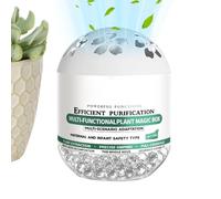 Purificador De Aire De Interior - Accesorios De Purificación A Base Natural, De Polvo Para Purificación De Aire - Para Oficina Dormitorio Piezas Para Vivir Espacios Para Animales