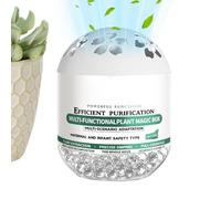 Purificadores de aire: de purificación a base de plantas naturales, accesorio ambientador para eliminación de polvo, contenedor compacto para control de olores | Solución eficaz de limpieza de ai