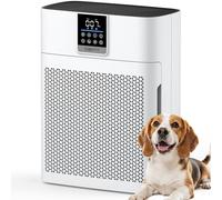 Purificadores de aire para el hogar, habitación grande de hasta 2180 pies cuadrados, purificador de aire DBFIT HEPA con prefiltro de nailon lavable, sensor de calidad del aire PM2.5, limpiador de aire