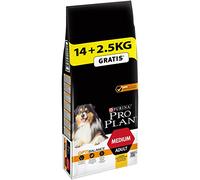 Purina Pro Plan Dog Adult Balance Pollo 14Kg + 2'5Kg Extra