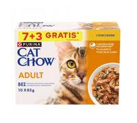 PURINA Cat Chow Adult: comida para gatos con pollo y calabacín en gelatina, 10 x 85 g (7 + 3 GRATIS)