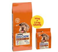 PURINA Dog Chow Mature Senior Lamb 14kg + 2,5kg + SORPRESA PARA SU PERRO