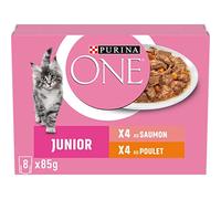 PURINA ONE Junior Chuletas en Salsa Sabores Surtidos Salmón y Pollo para Gatitos | Bolsas de Comida 8 x 85g