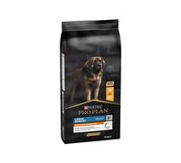 Purina Pro Plan Dog Adult Robust Large Breed Balance Pollo 14 Kg