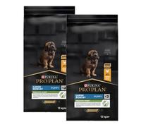 Large Robust Puppy 12 Kg - Perro