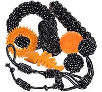 Purlov Juego de juguetes para perros - 10 piezas.