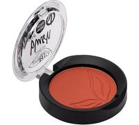 puroBio Colorete de Larga Duración 5,2g 04 Matte Brick