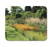 Purple Brown Beauty Rudbeckia Coneflowers Black Eyed Susans Green Mouse Pad para notebooks