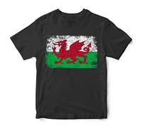Purple Print House Camiseta infantil con la bandera de rugby de Gales, regalo de cumpleaños Cymru para fanáticos del rugby galés, idea de regalo de traje de torneo, camisetas de fútbol para niños y