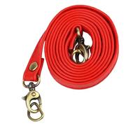 PURPLELILY Correa ajustable de piel sintética de 120 cm para mujer, bolsa cruzada, accesorios, correa ajustable de repuesto, Red