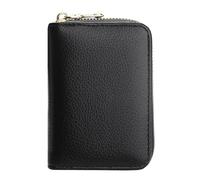 PURPLELILY Portatarjetas de crédito RFIDS, cartera con cremallera, organizador de tarjetas de acordeón pequeño, Black, Mass Beauty