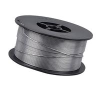 PUSOKEI Alambre con Núcleo Fundente para Soldadura MIG de 1,0 Mm |Carrete de 1 Kg de Acero Al Carbono Autoprotegido para Soldadura sin Gas
