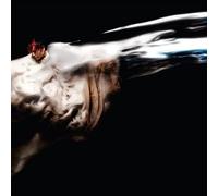 Putochinomaricon - Jaja Equisde (Distopea Aburrida) [Vinilo]