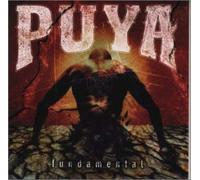 PUYA - Fundamental