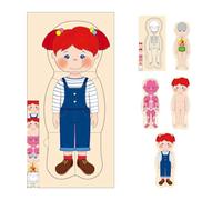 Puzle corporal para niños, rompecabezas de anatomía de madera, a partir de 4 años, rompecabezas de capas de 28 piezas, para niños de 3 a 5 años