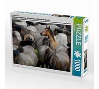 Puzle de 1000 Piezas, diseño de Caballos Salvajes