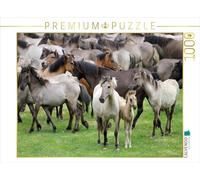 Puzle de 1000 Piezas, diseño de Caballos Salvajes con templos y Potro