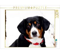 Puzle de 1000 Piezas, diseño de Perro Sensual