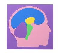 Puzle De Anatomía para Niños,Modelo De Cerebro Educativo Montaje EVA | Juguetes De Anatomía Infantiles DIY | para Niños Niñas Jóvenes Hogar Escuela Jardín De Infantes Viaje Sala De Juegos