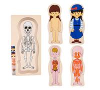 Puzle de Cuerpo Humano para niños, Madera de 30 cm, de Modelo de anatomía, Educativo Interactivo, de Estructura Humana para niños de 4 a 6 años, educación de