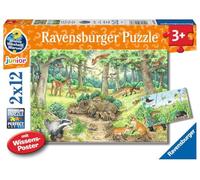Puzle Infantil Ravensburger, 05673 Animales en el Bosque y en la Pradera, 2 x 12 Piezas y póster con información, ¿por qué? ¿por qué? ¿por qué Puzzle para niños de 3 años o más?