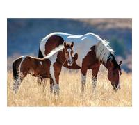 Puzle Nathan, 1500 Piezas, Caballo y Potro, Adultos y niños a Partir de 14 años, Rompecabezas, Ajuste, colección Wild Life, 12000928