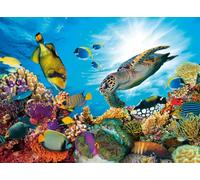 Puzle Nathan, 500 Piezas, El Arrecife de Coral, para Adultos y niños a Partir de 12 años, Rompecabezas, Ajuste, colección Wildlife, 12000954