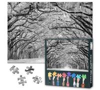 Puzles de roble de 1000 piezas para adultos, rompecabezas en blanco y negro para adultos (70 x 50 cm), noche de juego familiar y decoración del hogar (serie de paisajes naturales)