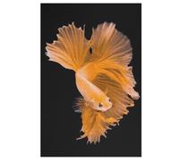 Puzles para adultos de peces luchadores, puzles de 1000 piezas, para niños a partir de 12 años, puzles de madera para decoración del hogar, (78 x 53 cm)