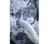 Puzzle 100 Piezas Adultos Animales Pavos Reales, Juego Creativo Desarrolla la Concentraciòn y la Logica, Divertido Juego Familiar Puzzles 100 Piezas 40 x 28 cm