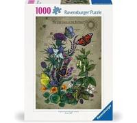 Puzzle 1000 ciclo de vida de una mariposa