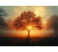 Puzzle 1000 Pieces Albero del Sole Impossible Rompecabezas Juego Educativo Puzzle Madera Adultos para Adultos Y NiñOs A Partir De 14, Ejercer La Capacidad De Pensamiento LóGico, Regalos Festival J-5