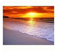 Puzzle 1000 Piezas Adultos Playa de Las Olas al Atardecer,Puzzle para Adulto,Juego Desafiante,Juguete Educativo,desafiante Juego de Actividades Familiares Puzzles para Adultos 1000 pcs 75 x 50 cm
